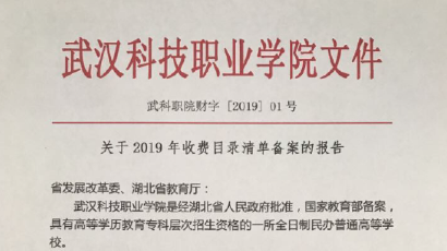 冰球突破入口官网2019年度收费目录清单