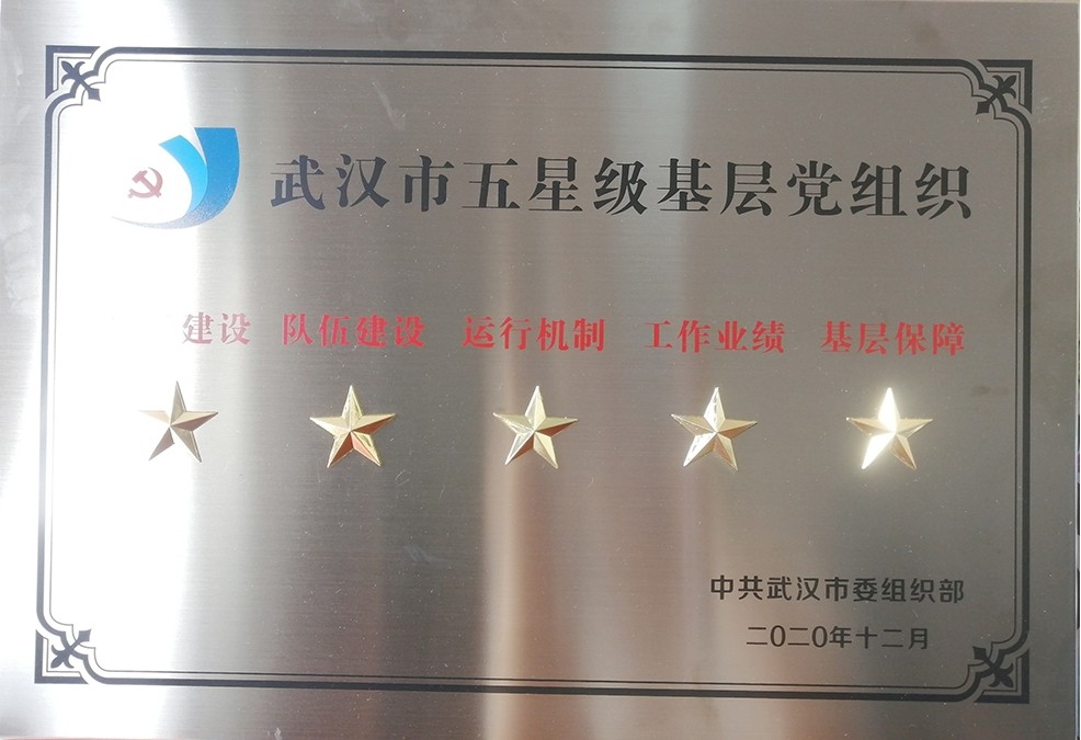 冰球官网党委荣获“武汉市五星级党组织”荣誉称号