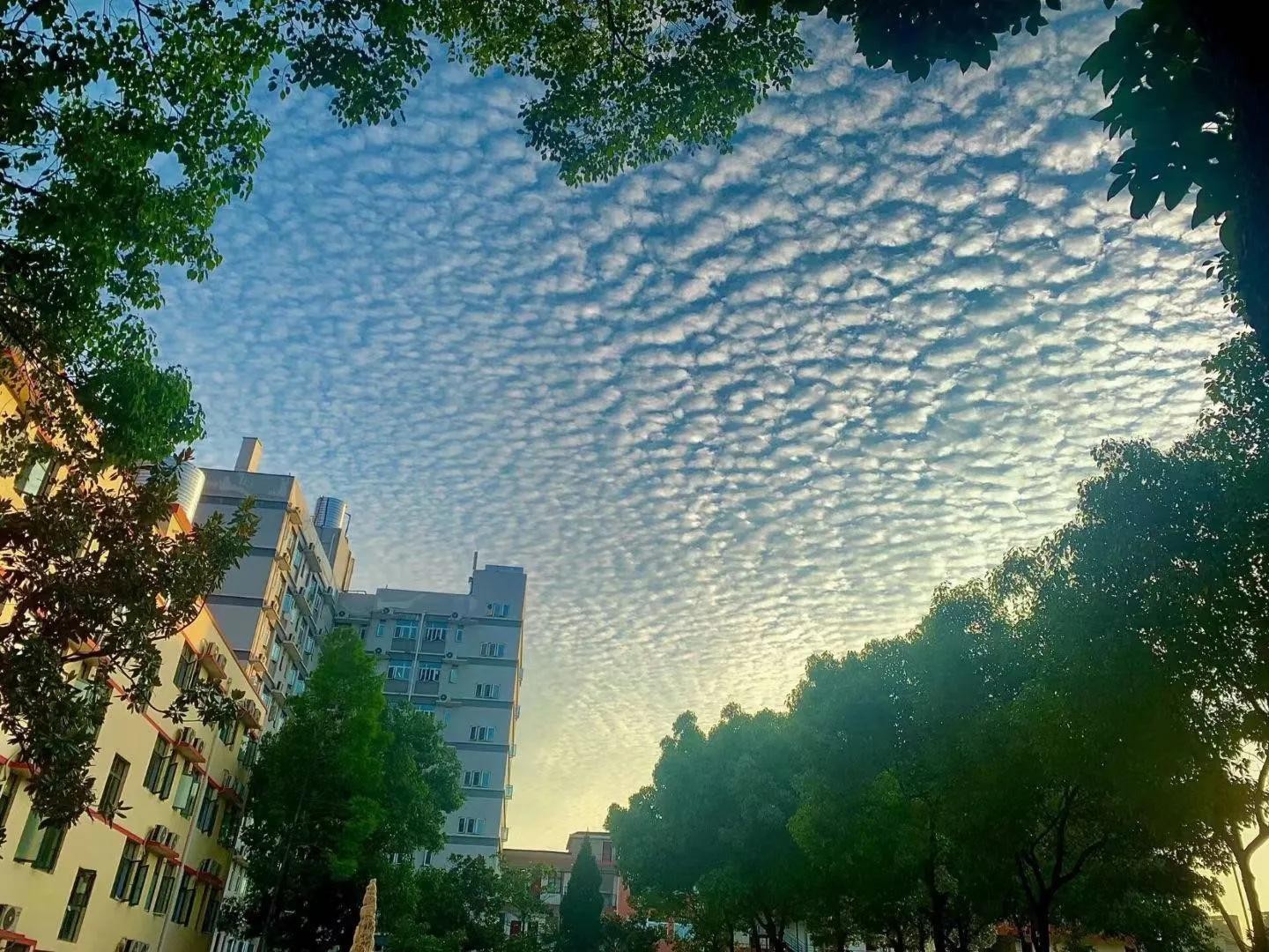 毕业进国企，福利好，待遇高；冰球突破入口官网学生很“清高