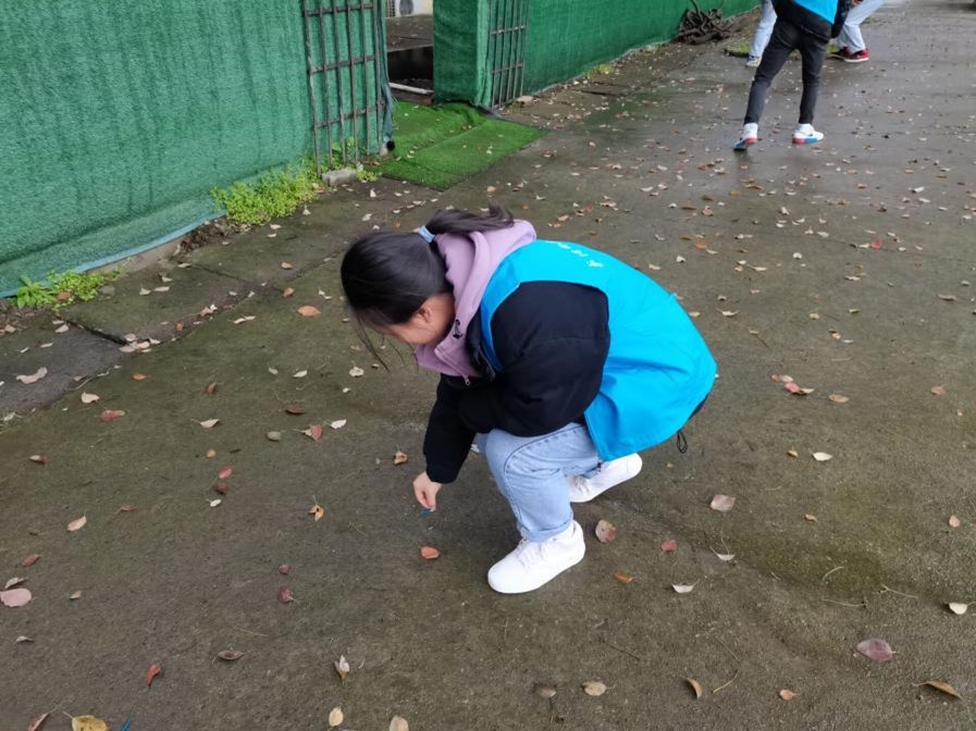 冰球突破入口官网“雷锋月” 清扫校园志愿活动