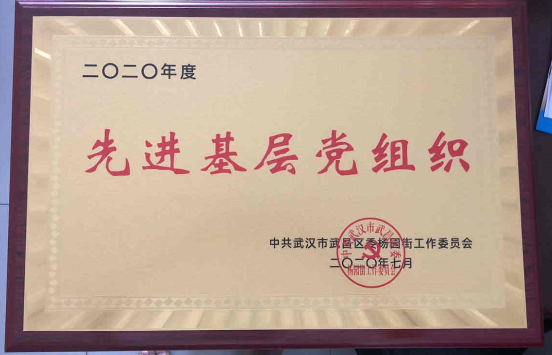 冰球官网党委荣获2020年度先进基层党组织